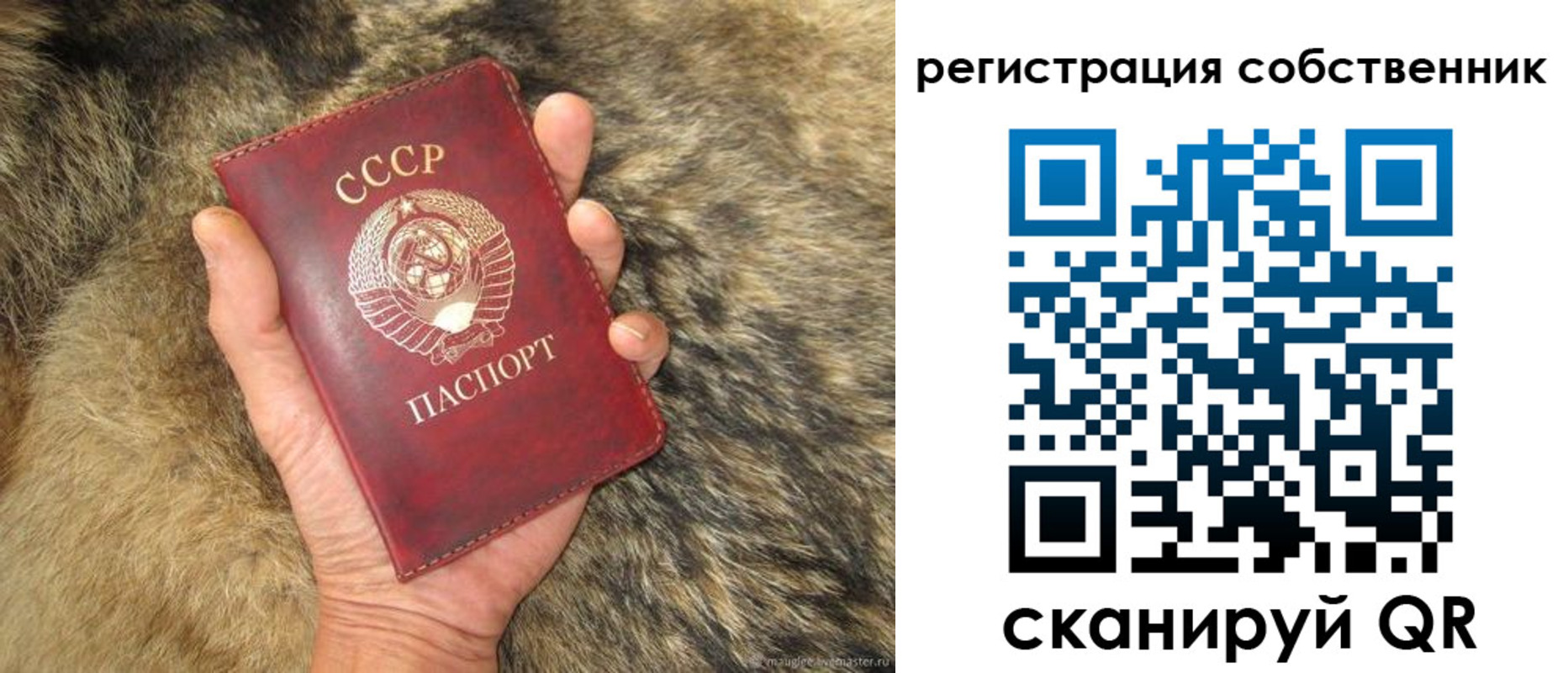 прописка 2025 в Тавде